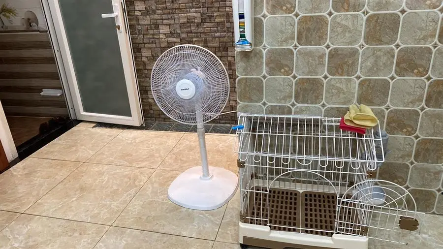 Khách hàng review Quạt lửng Comfee 3 cánh CF-FF4019VEW 48W 8