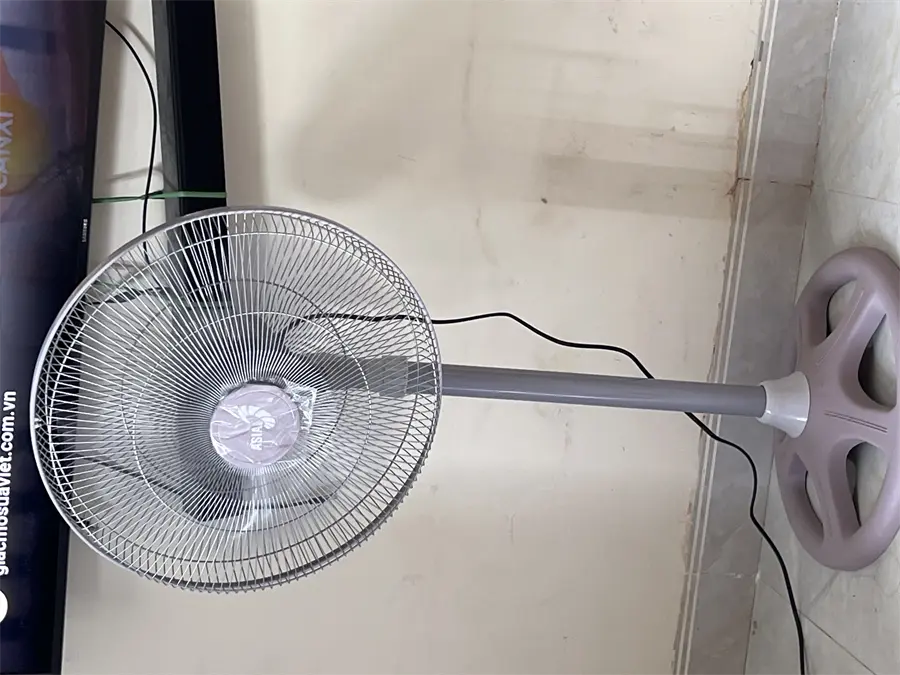 Khách hàng review Quạt đứng Asia 5 cánh VY539790 55W 8