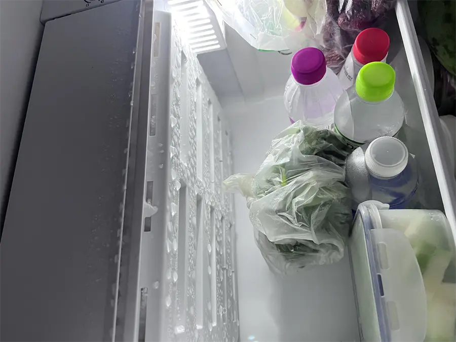 Khách hàng review Tủ lạnh Beko 93 lít RS9051P 2