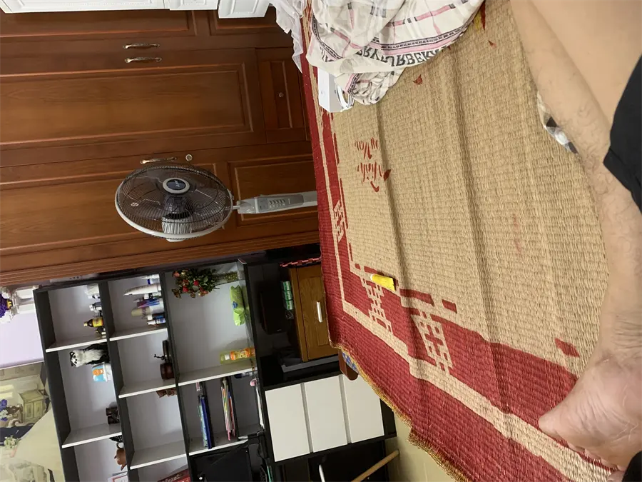 Khách hàng review Quạt đứng Mitsubishi Electric 3 cánh LV16-RA SF-GY 47W 10