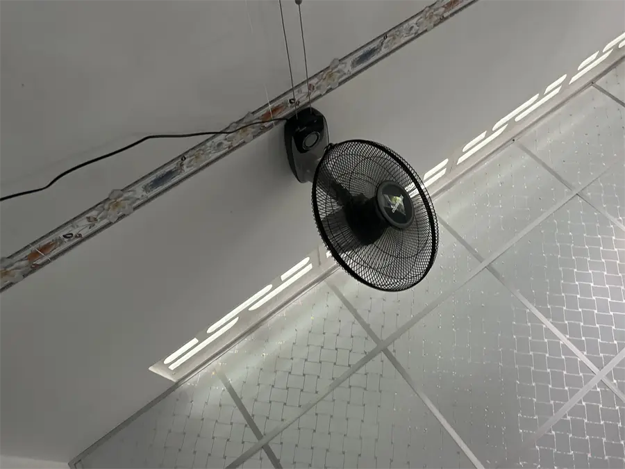 Khách hàng review Quạt treo tường Kangaroo 5 cánh KG723 55W 4