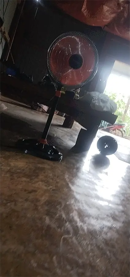 Khách hàng review Quạt đứng Senko 5 cánh DTS1609 60W 12