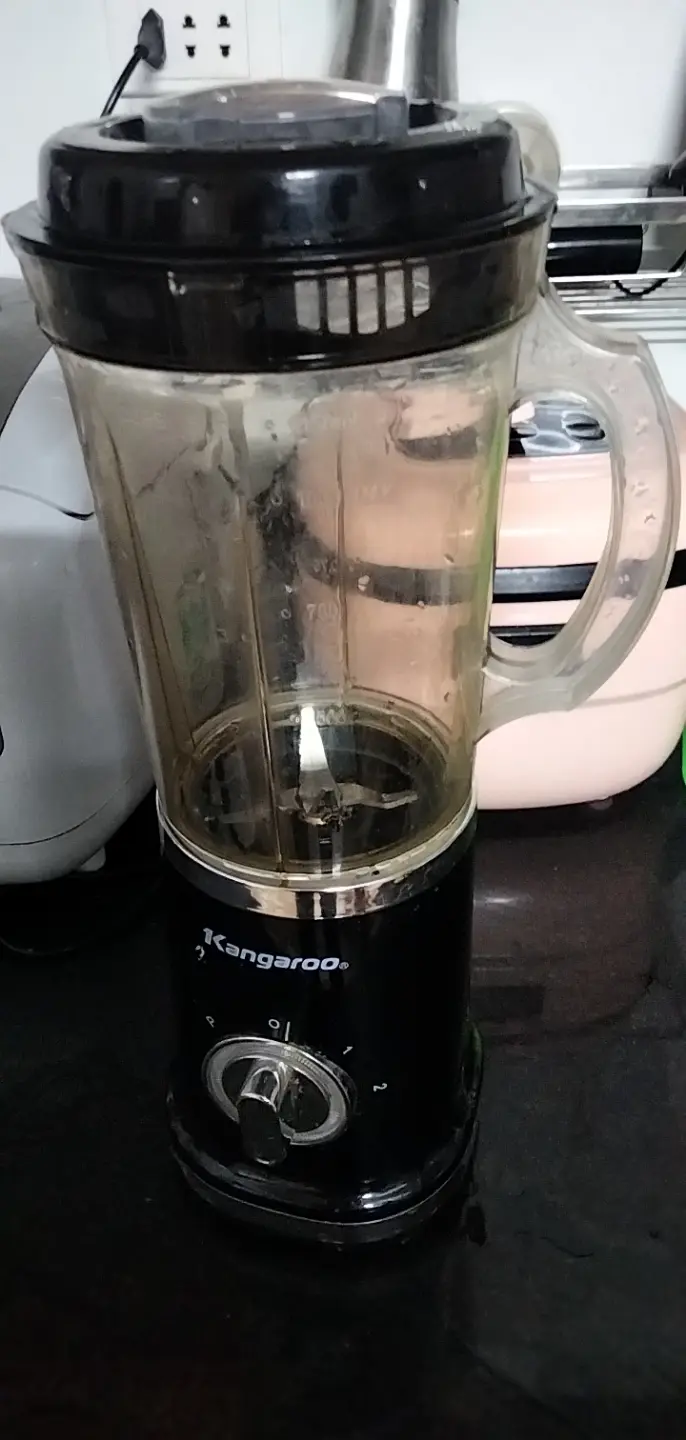 Khách hàng review Máy xay sinh tố đa năng Kangaroo KG3B2 12