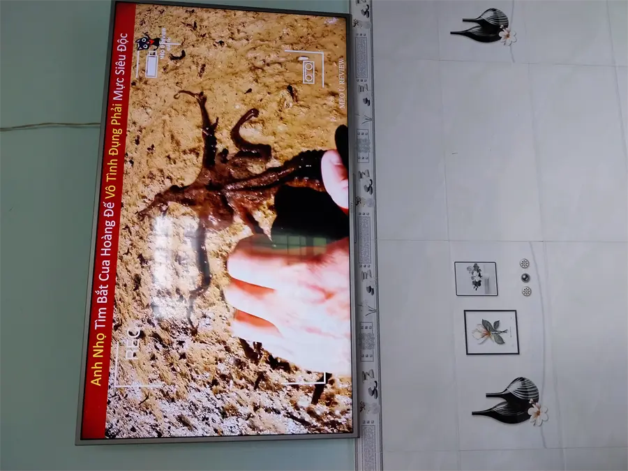 Khách hàng review Android Tivi Sony 4K 55 inch KD-55X80J/S 1