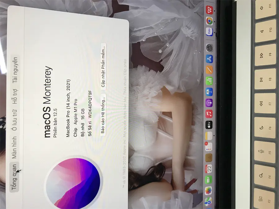 Khách hàng review Laptop Apple MacBook Pro 14 inch M1 Pro 2021 10-core CPU/16GB/1TB SSD/16-core GPU (MKGT3SA/A) 3