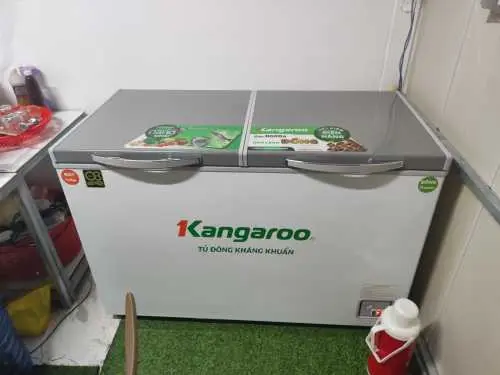Khách hàng review Tủ đông Kangaroo 327 lít KG498KX2 8