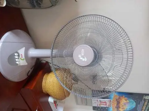 Khách hàng review Quạt lửng Asia 3 cánh VY358990 55W 3