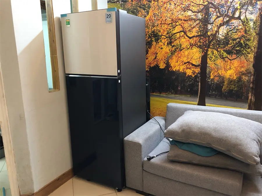 Khách hàng review Tủ lạnh Samsung Inverter 305 lít Bespoke RT31CB56248ASV 13