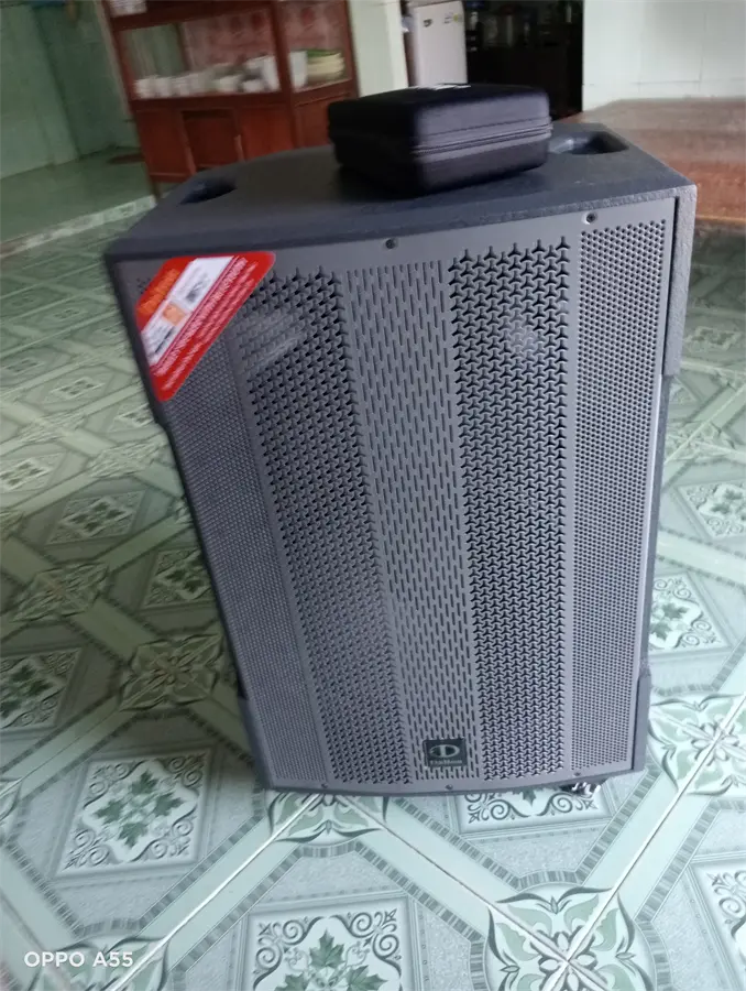 Khách hàng review Loa kéo karaoke Dalton TS-18G850X 850W 5