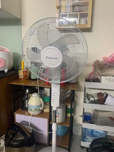 Khách hàng review Quạt đứng Kangaroo 5 cánh KG725 55W 2