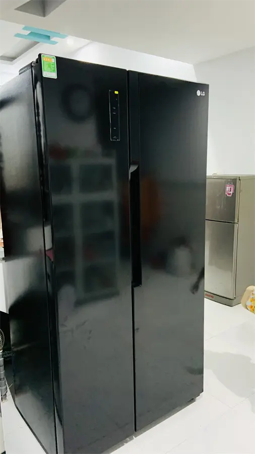 Khách hàng review Tủ lạnh LG Inverter 519 lít Side By Side GR-B256BL 8