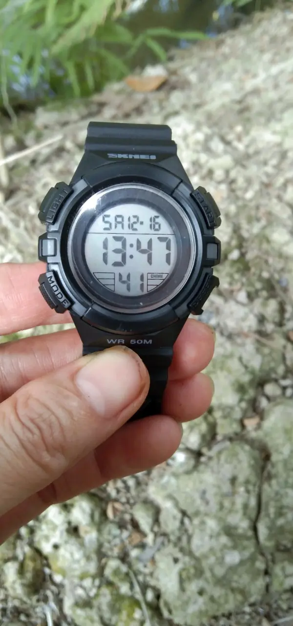 Khách hàng review Đồng hồ SKMEI 36 mm Trẻ em SK-1559 - Hồng 1