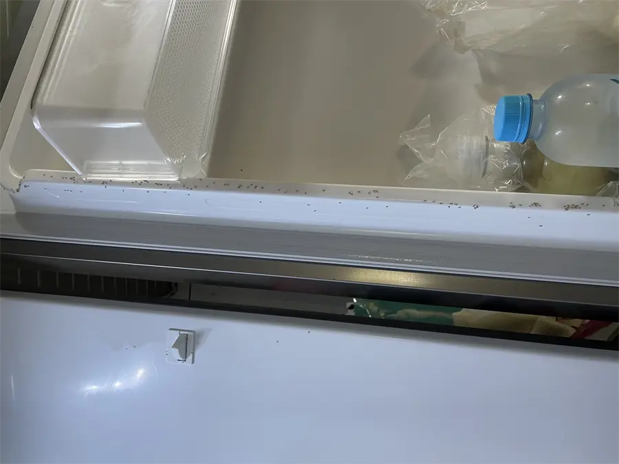 Khách hàng review Tủ lạnh LG Inverter 519 lít Side By Side GR-B256JDS 18
