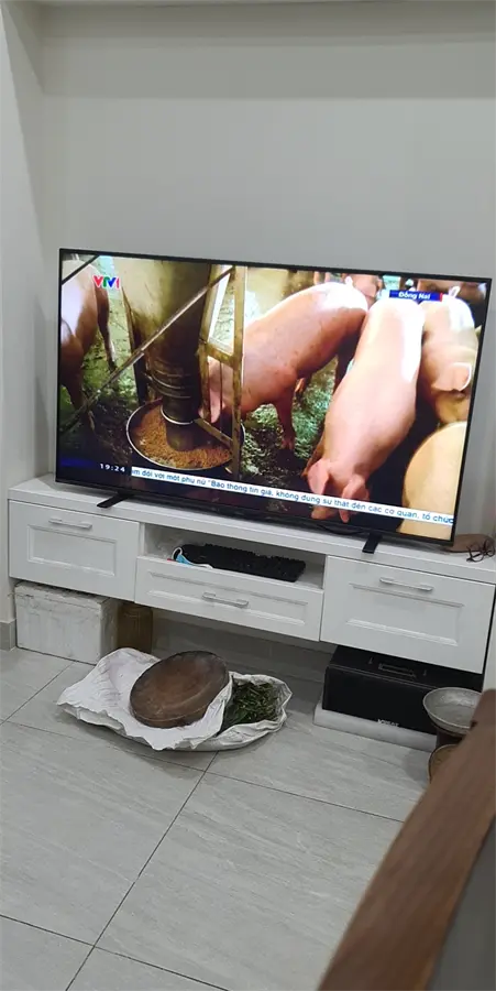 Khách hàng review Google Tivi QLED Toshiba 4K 55 inch 55M550LP 6