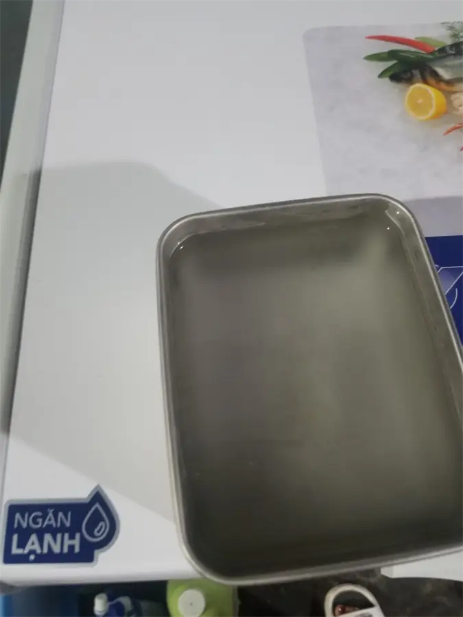 Khách hàng review Tủ đông Hòa Phát 245 Lít HPF BD6245 17