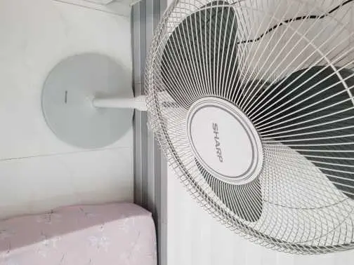 Khách hàng review Quạt đứng Sharp 3 cánh PJ-S40MV-LG 55W 10