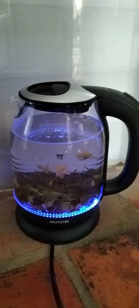 Khách hàng review Bình đun siêu tốc Mutosi 1.7 lít MK-16 1