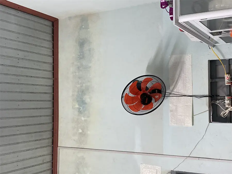 Khách hàng review Quạt treo tường Senko 7 cánh TC1622 65W 7