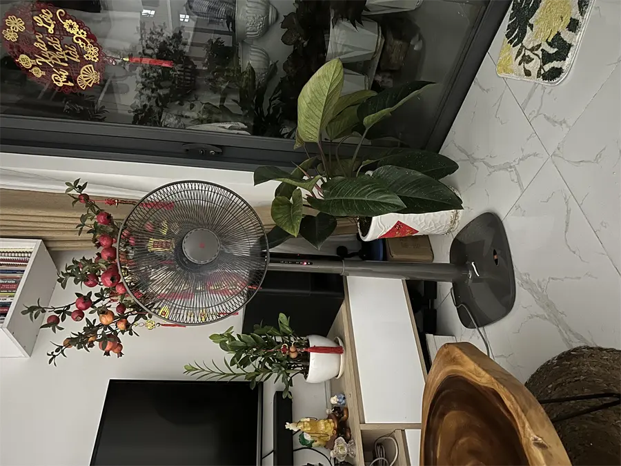 Khách hàng review Quạt đứng KDK 3 cánh M40K GY 50W 1