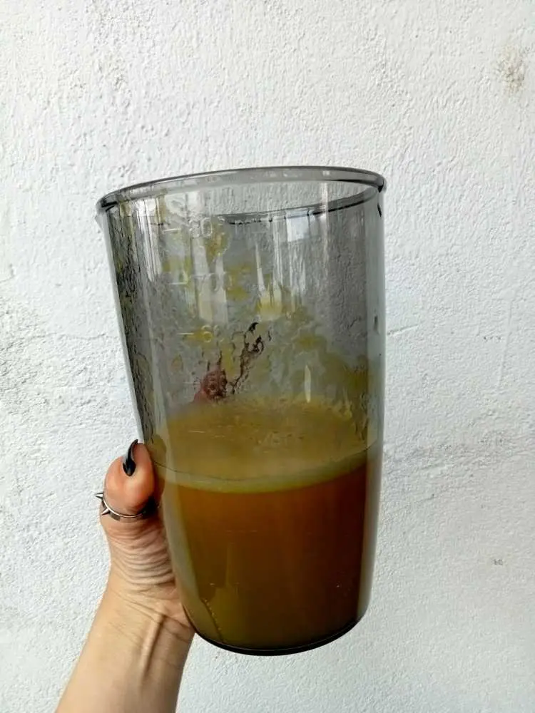 Khách hàng review Máy ép chậm AVA SJ-009 5