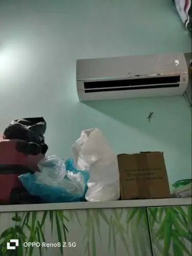 Khách hàng review Máy lạnh LG Inverter 1.5 HP V13API1 24