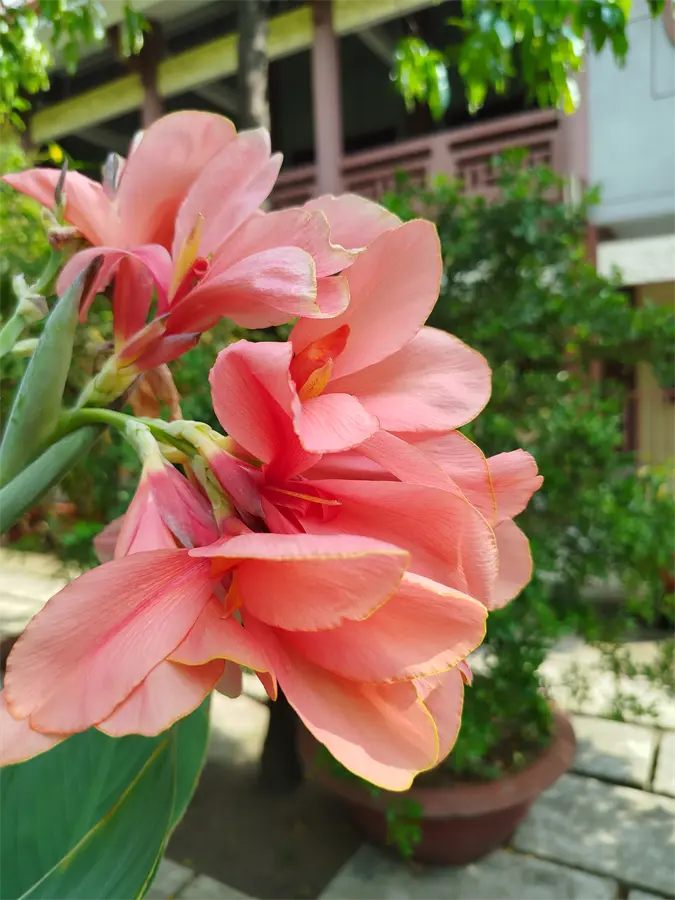 Khách hàng review Điện thoại Xiaomi Redmi Note 13 8GB/128GB 24