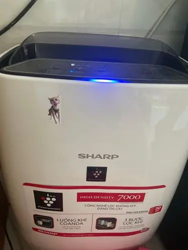 Khách hàng review Máy lọc không khí Sharp FP-J40E-W 23W 5