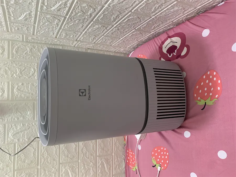Khách hàng review Máy lọc không khí Electrolux EP32-25UGA 25W 2