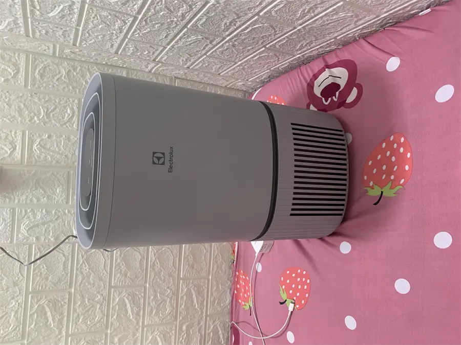 Khách hàng review Máy lọc không khí Electrolux EP32-25UGA 25W 4