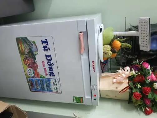 Khách hàng review Tủ đông Sanaky 150 lít TD.VH180VD 1