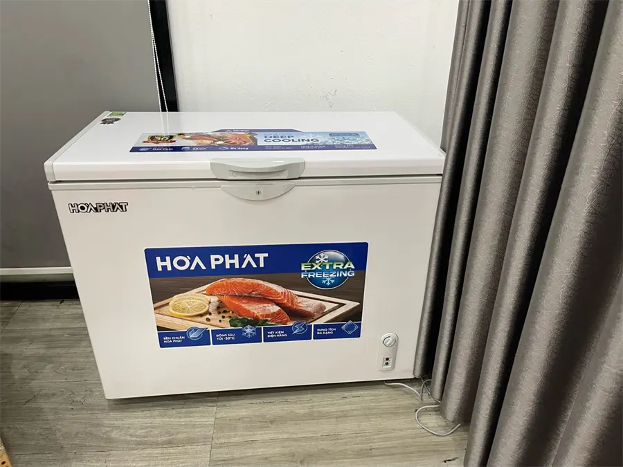 Khách hàng review Tủ đông Hòa Phát 252 lít HPF AN6252 1