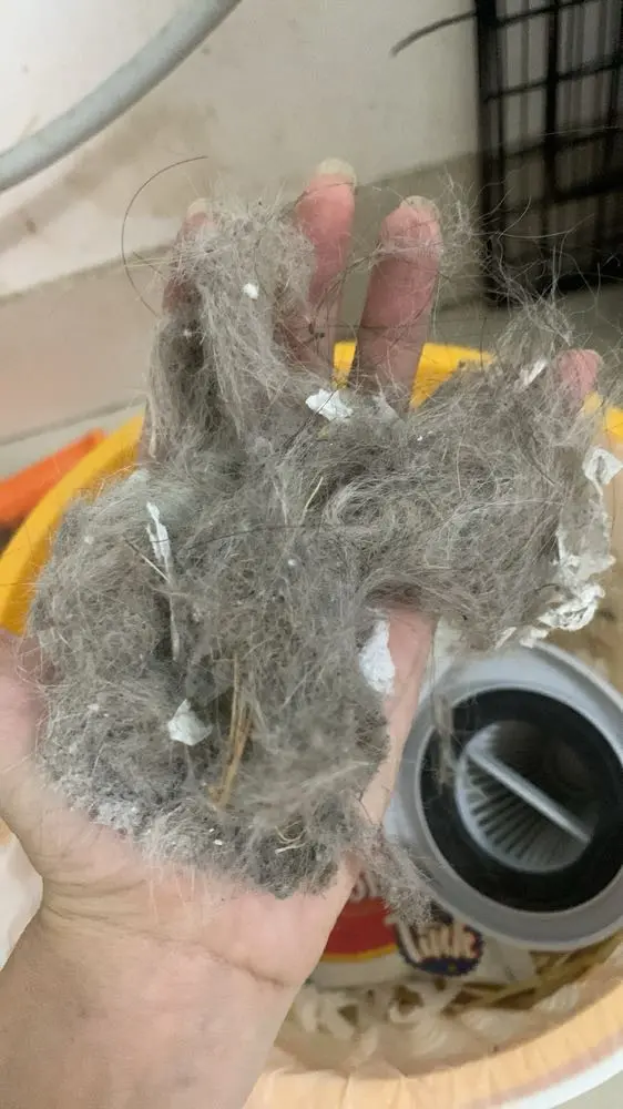 Khách hàng review Máy hút bụi cầm tay Deerma DX118C Pro 16