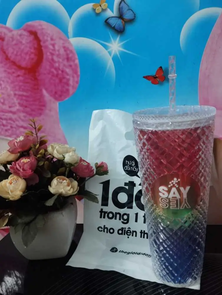 Khách hàng review Ly nhựa 2 lớp kèm ống hút 750 ml DMX K750PP53C 1