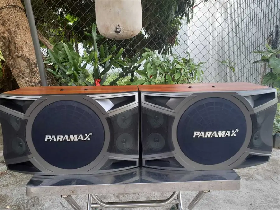 Khách hàng review Cặp loa Karaoke Paramax LX-1200 500W 3