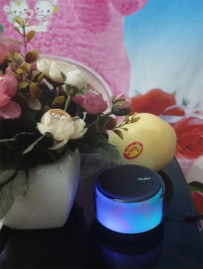 Khách hàng review Loa Bluetooth AVA  Go Z09 5