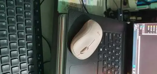 Khách hàng review Chuột Bluetooth Silent Logitech M240 8