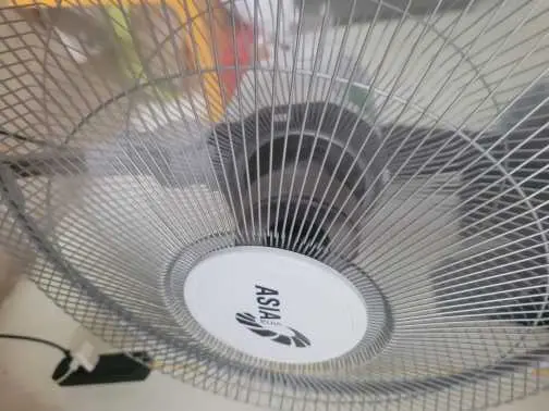 Khách hàng review Quạt đứng Asia 3 cánh VY449690 55W 2