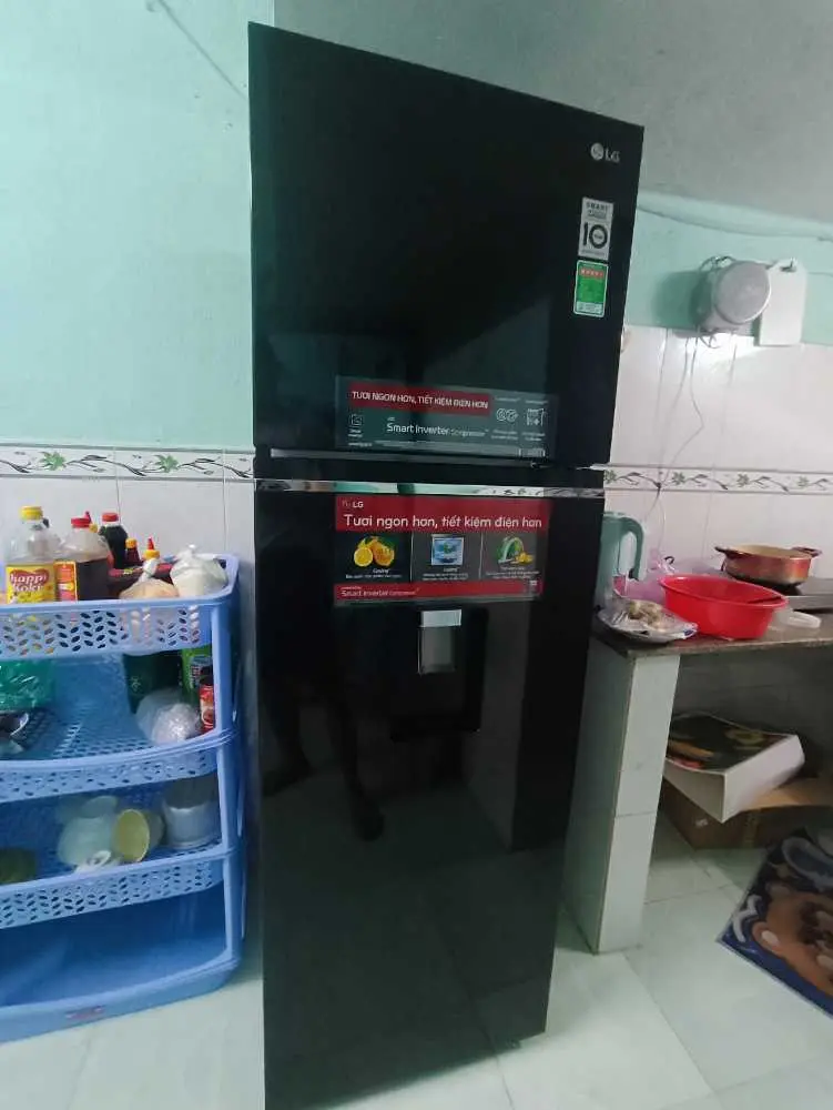 Khách hàng review Tủ lạnh LG Inverter 264 Lít GV-D262BL 8