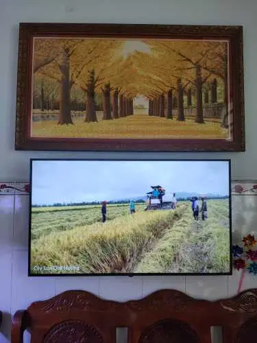 Khách hàng review Smart Tivi LG 4K 50 inch 50UQ8000PSC 1