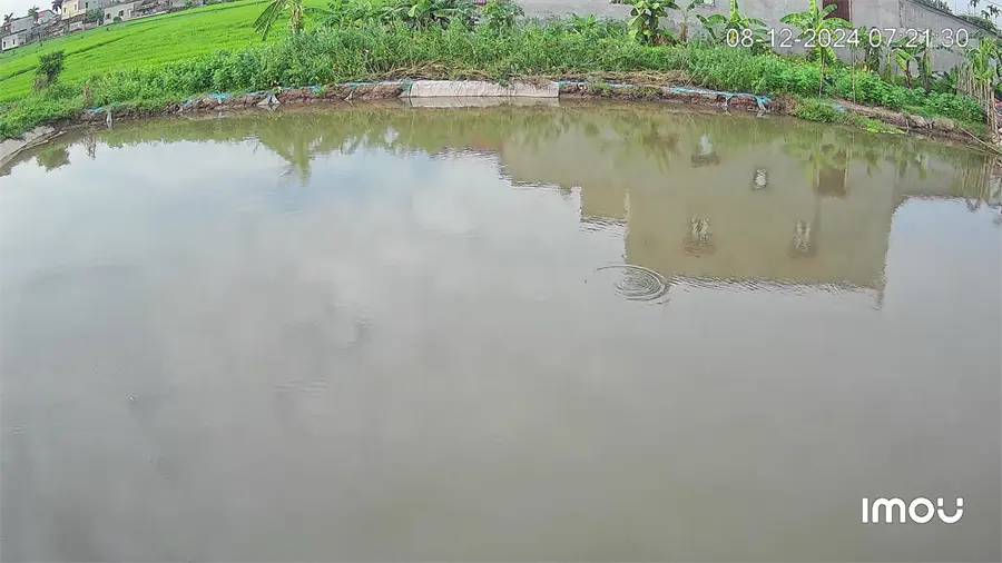 Khách hàng review Camera IP Ngoài trời 360 Độ IMOU Cruiser Dual S7XP-10M0WED 3