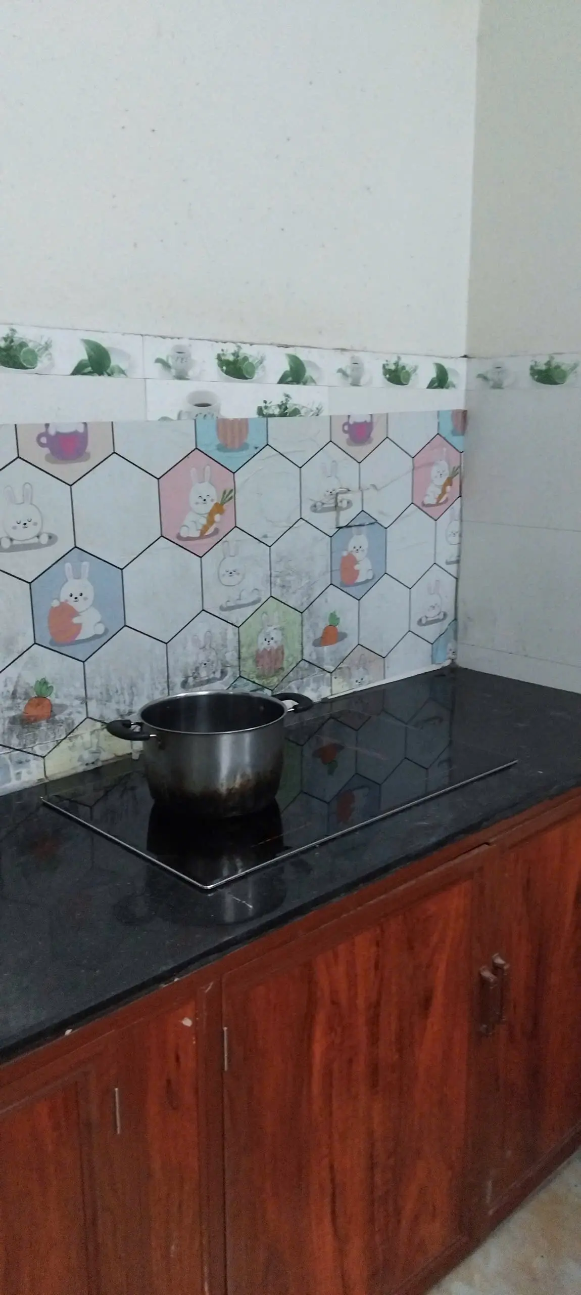 Khách hàng review Bếp từ đôi âm Hawonkoo CEH-222-II 3800W 1