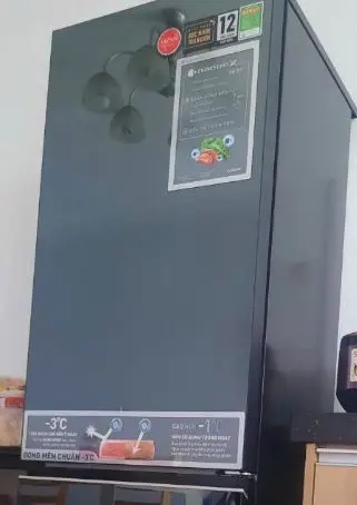 Khách hàng review Tủ lạnh Panasonic Inverter 325 lít NR-BC361VGMV 21