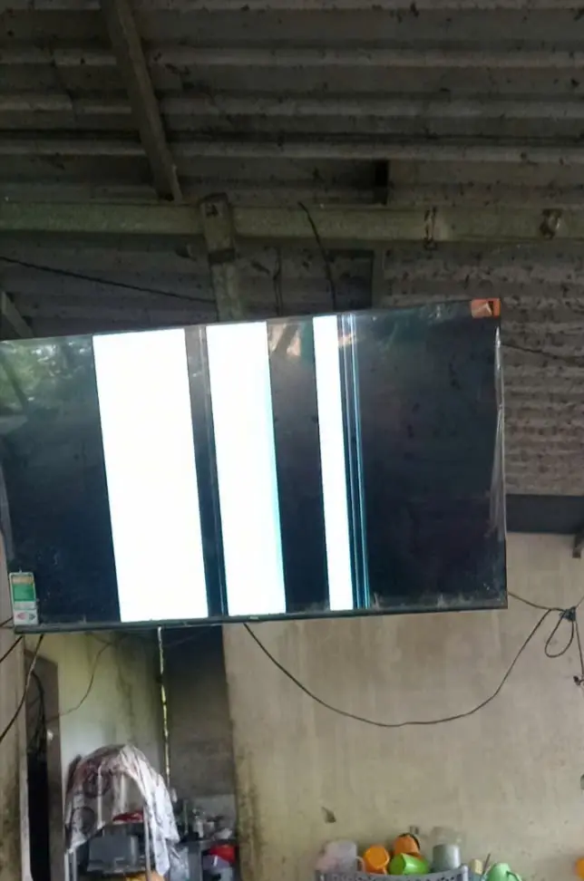 Khách hàng review Google Tivi TCL FHD 43 inch 43S5400 1