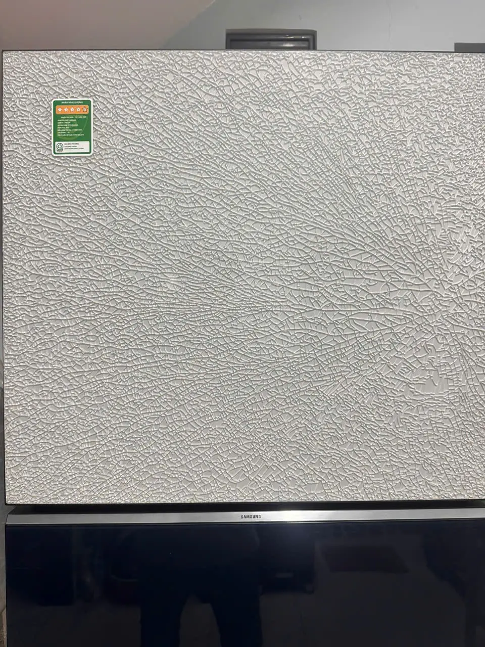 Khách hàng review Tủ lạnh Samsung Inverter 305 lít Bespoke RT31CB56248ASV 2