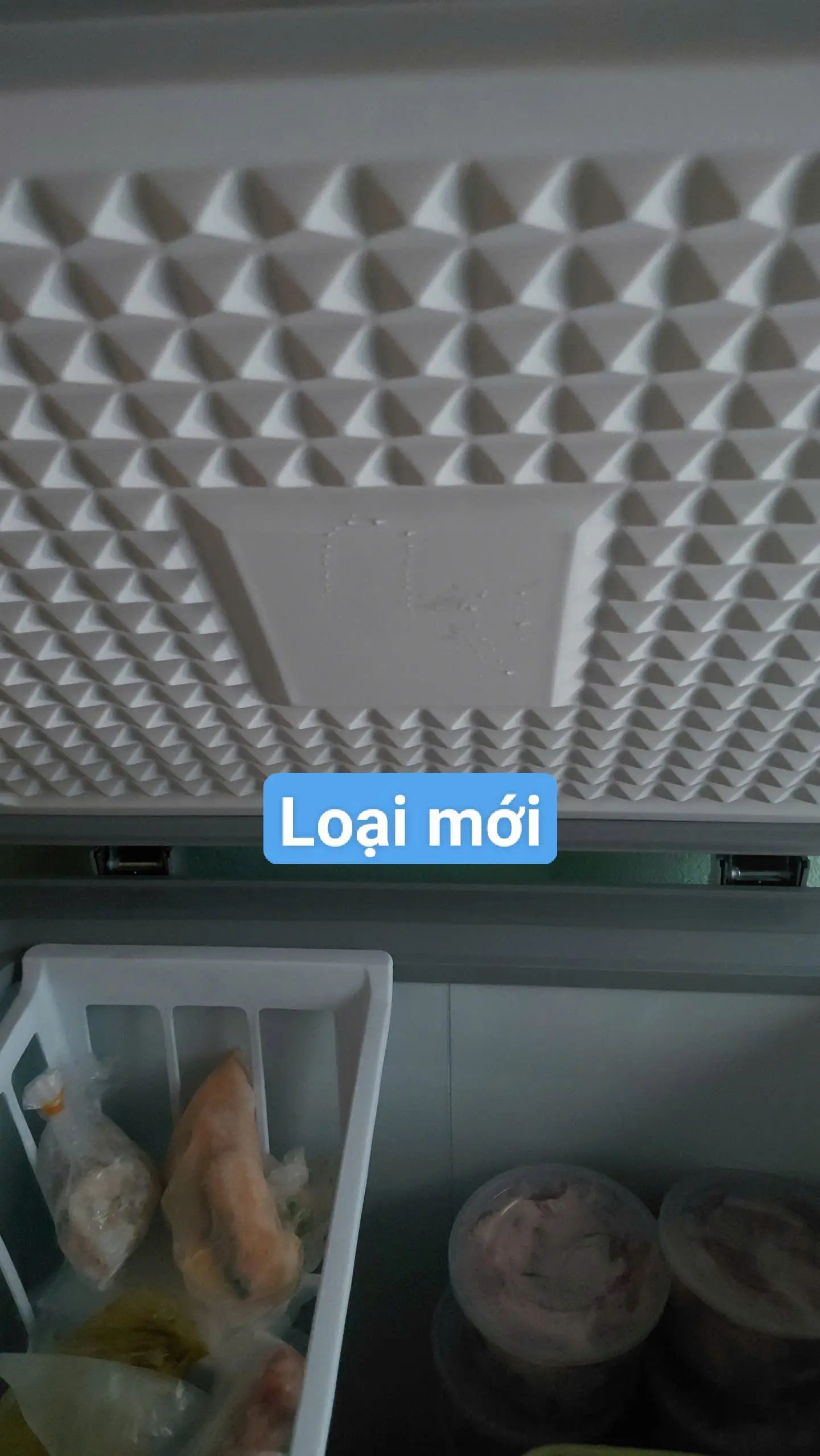Khách hàng review Tủ đông Sanaky 100 lít VH-1599HYK 2