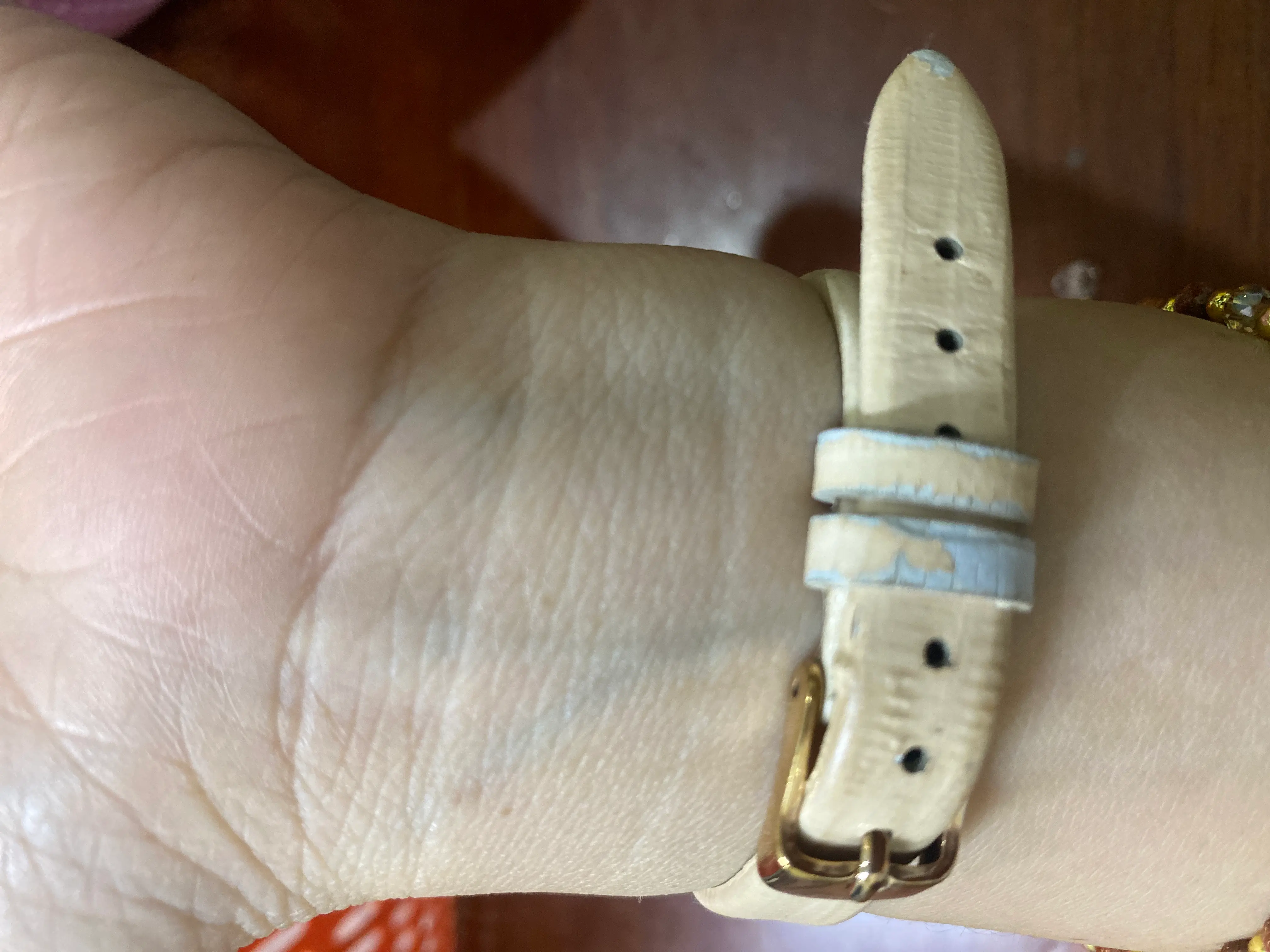 Khách hàng review Đồng hồ Elio Starlight 23 mm Nữ EL153-03 1