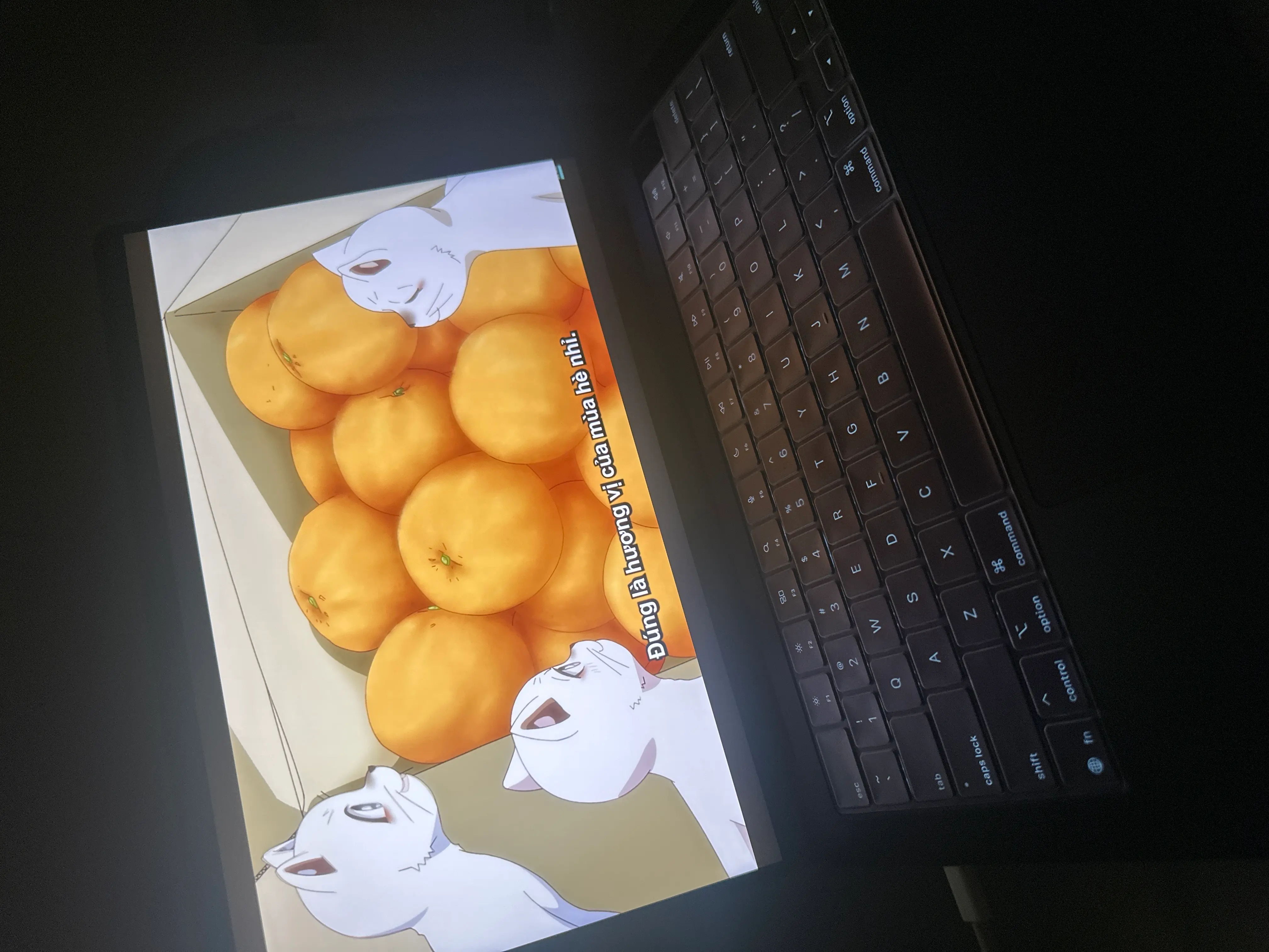 Khách hàng review Laptop MacBook Pro 14 inch M5 16GB/1TB 1