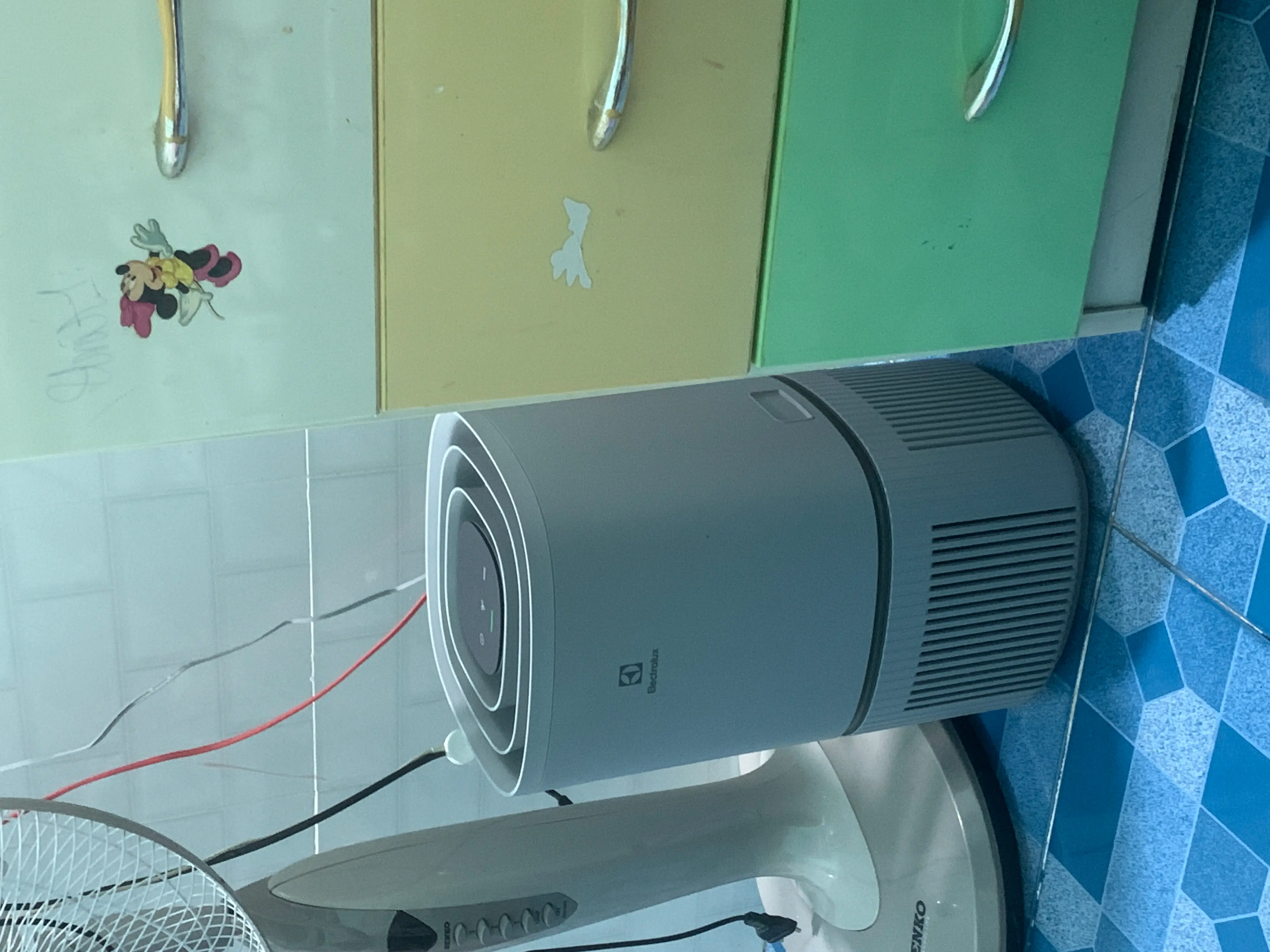 Khách hàng review Máy lọc không khí Electrolux EP32-25UGA 25W 1