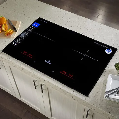 Bếp từ đôi âm BlueStone ICB-6948 5200W