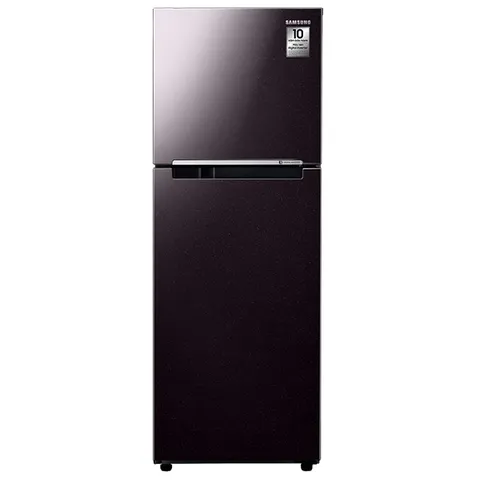 Tủ lạnh Samsung Inverter 236 lít RT22M4032BY/SV